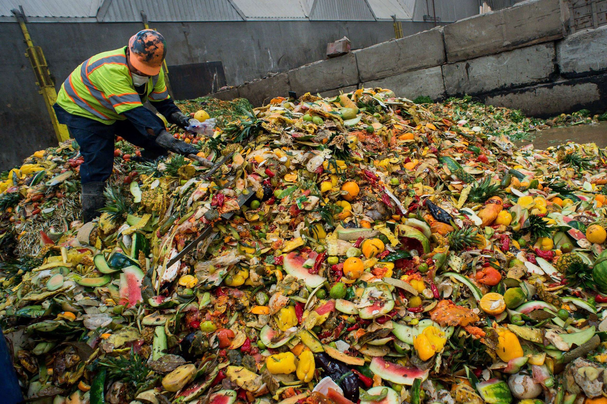 Man handling large mound of organic food waste