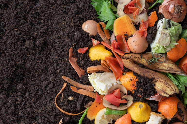 Produce Insect Insect Farming 101: How to Start, What It Costs & What to Expect | Flybox®