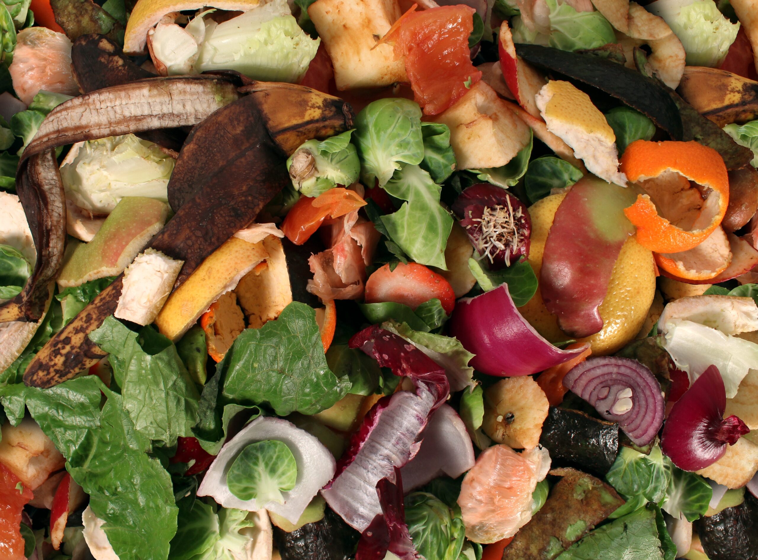 Pile of organic waste including fruit and vegetable food scraps