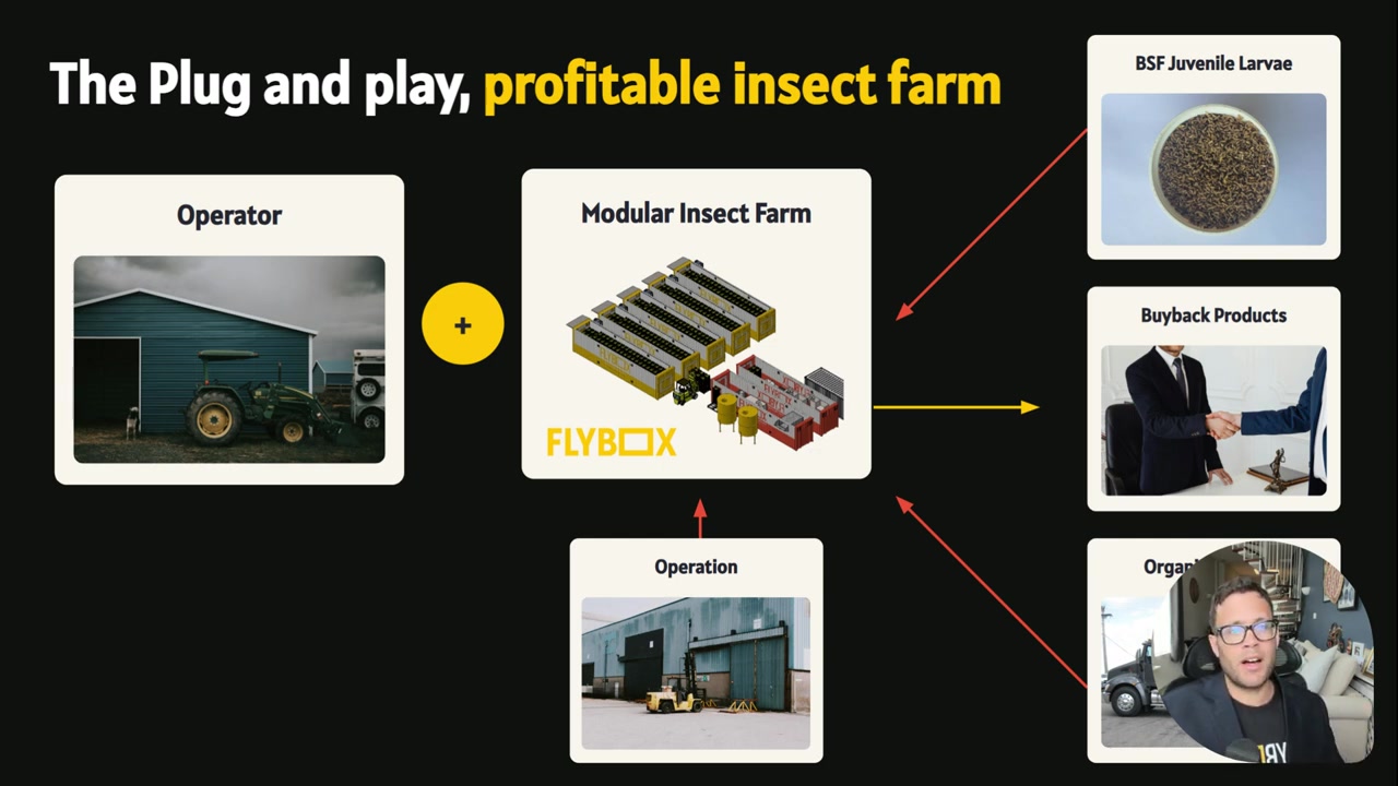 Small Insect Farm How to Start an Insect Farm: Why Small-Scale BSF Usually Fails | Flybox®